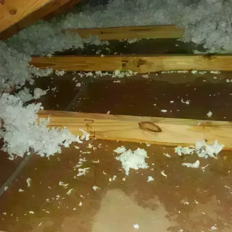 Attic Water Damage in Gary, IN