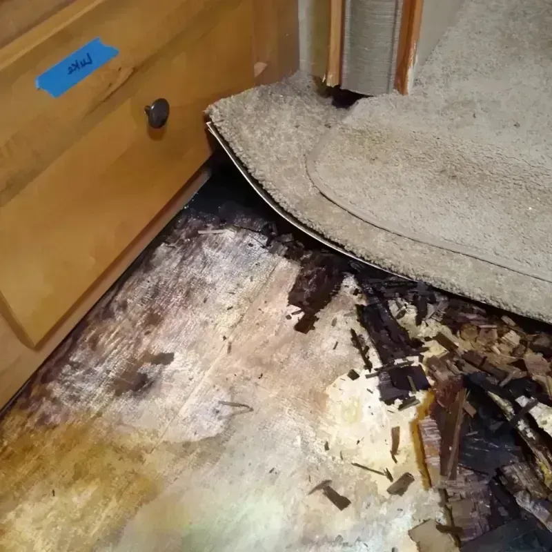 Wood Floor Water Damage in Gary, IN